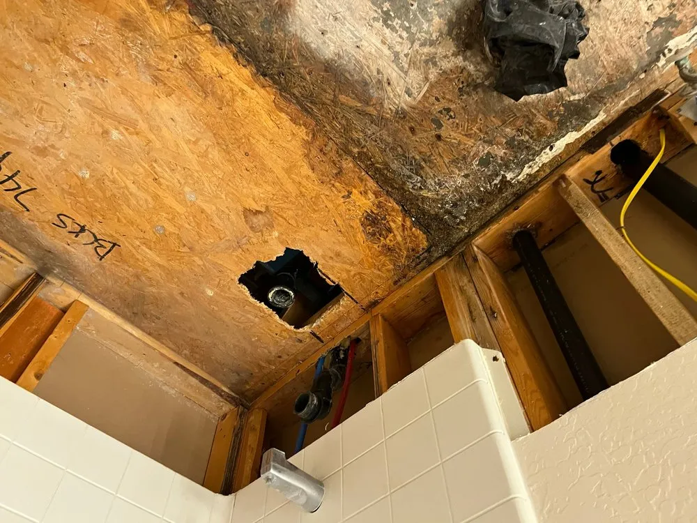 Emergency water extraction in Apache Junction, AZ by Disaster Services - Apache Junction