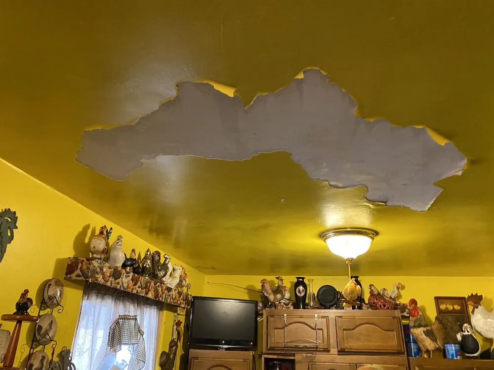 Certified flood cleanup experts serving Apache Junction, AZ - Disaster Services - Apache Junction