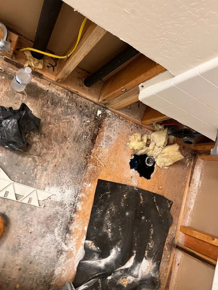 Expert sewage backup cleanup in Apache Junction, AZ by Disaster Services - Apache Junction