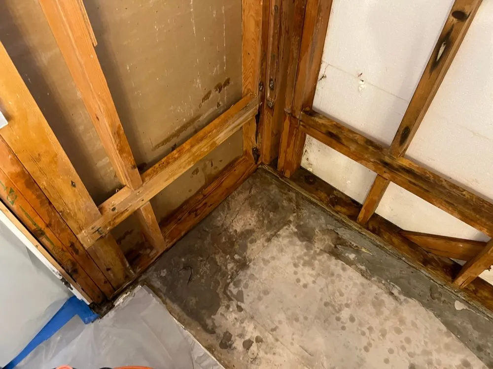 Emergency mold remediation experts serving Apache Junction, AZ - Disaster Services - Apache Junction