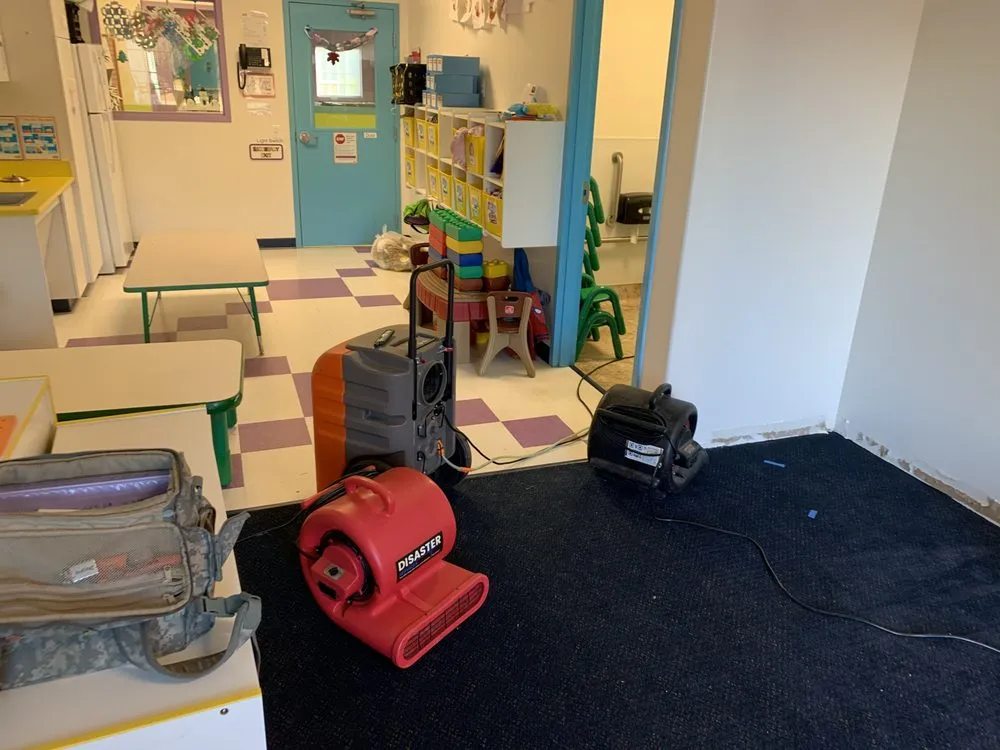 Professional mold remediation service in Apache Junction, AZ - Disaster Services - Apache Junction