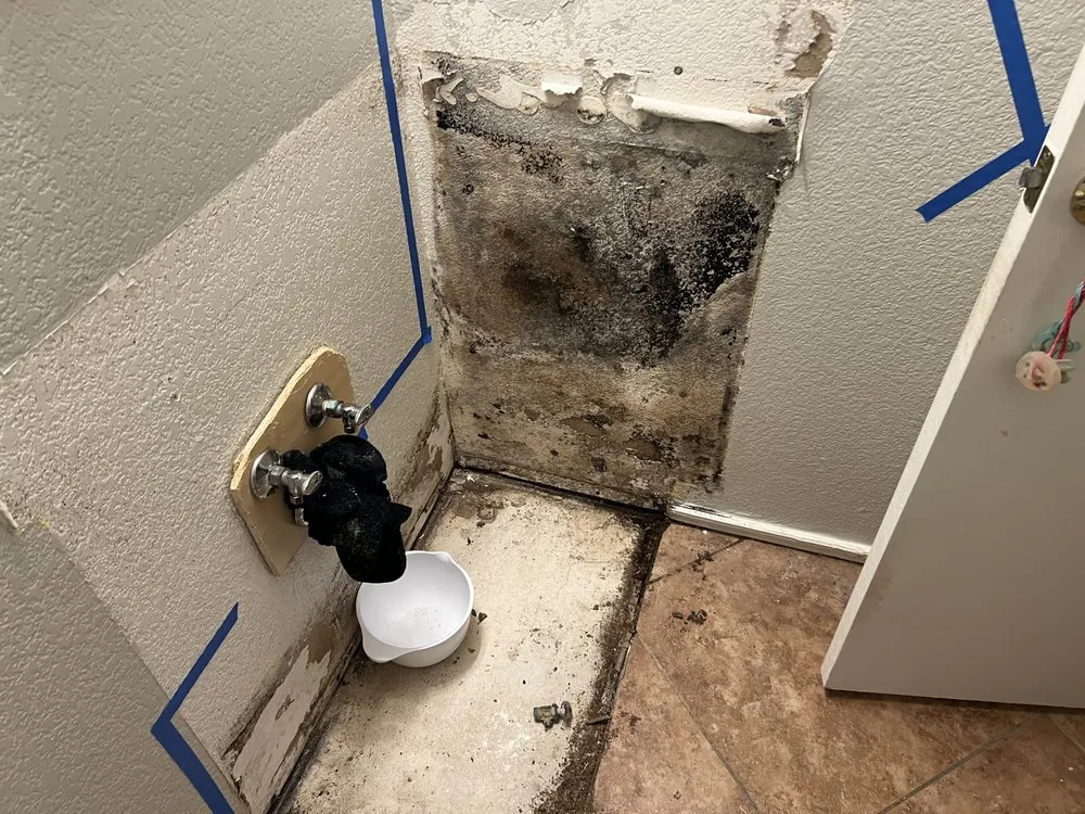 24/7 structural drying experts serving Apache Junction, AZ - Disaster Services - Apache Junction